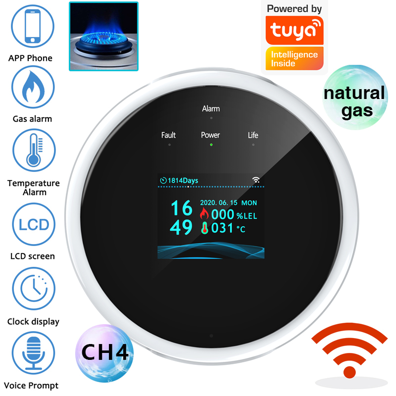 Home Security Upgrades - 2,4G WiFi Gasalarm-Sensor, Detektor für brennbare